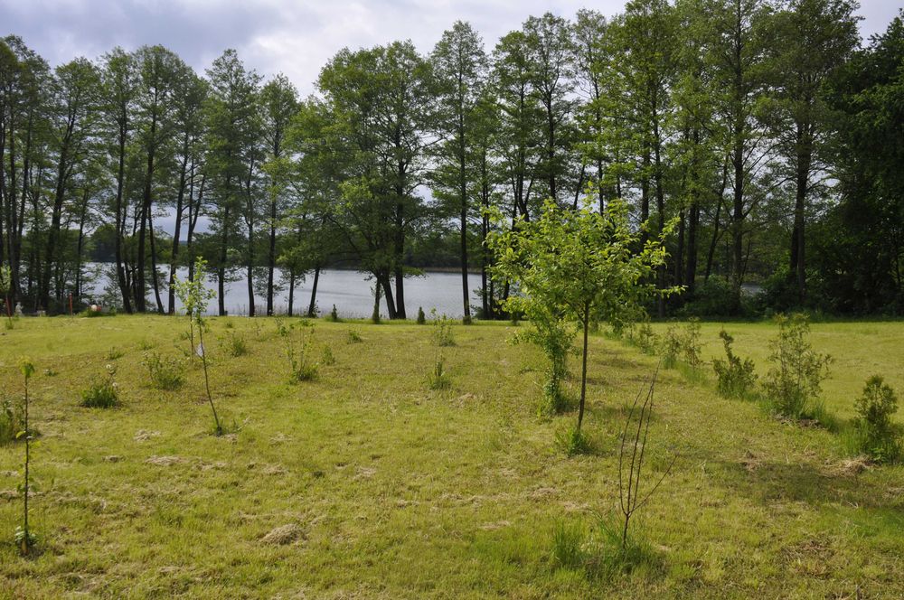 agroturystyka Derkacz