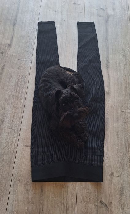 FREE/QUENT rurki prążek r. S