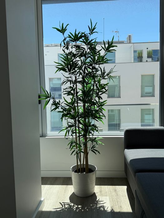 Planta artificial decorativa com vaso