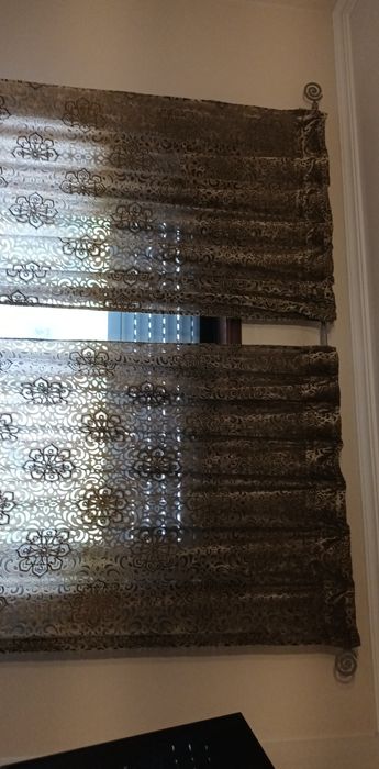 Cortinados gato preto