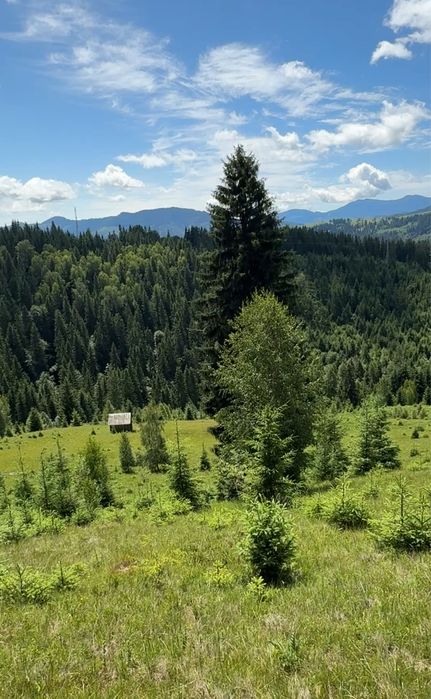 2 гектари без сусідів .