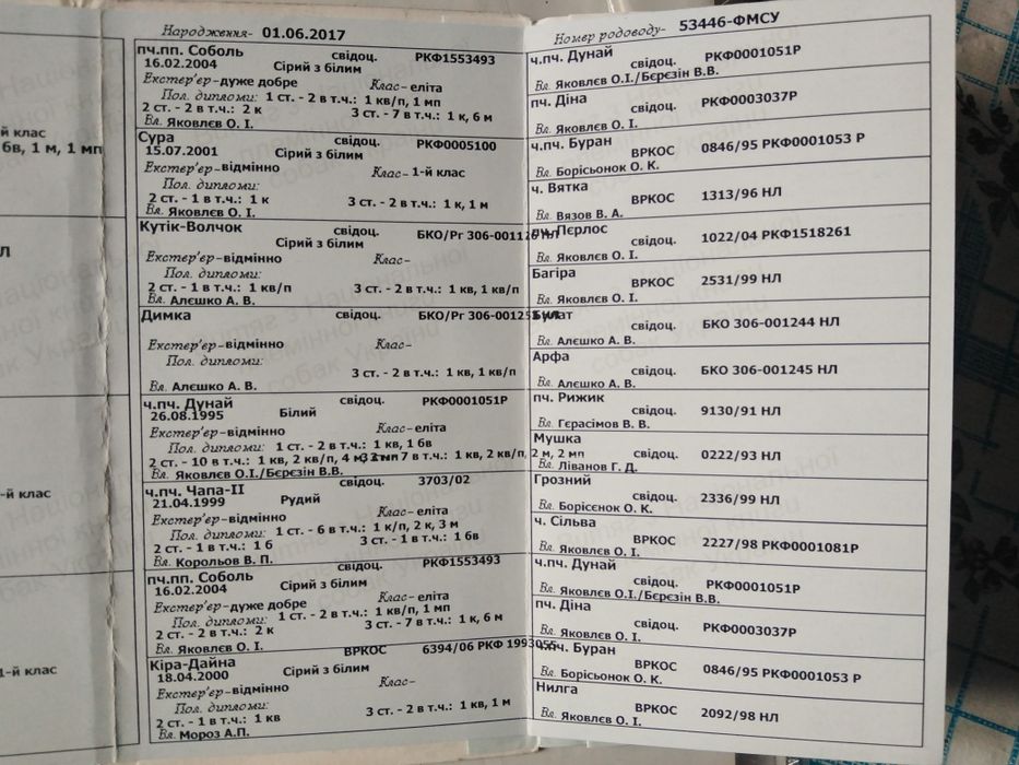 Продам західно сибірську лайку