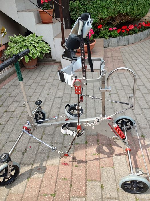 Pionizator Walker