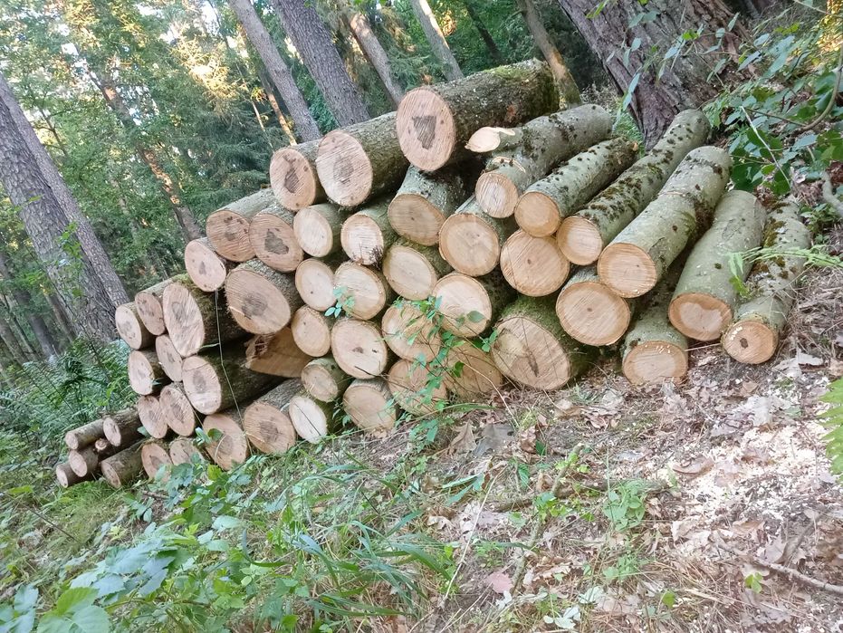 Sprzedam drewno opałowe