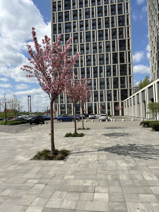 3х комнатная жк Славутич