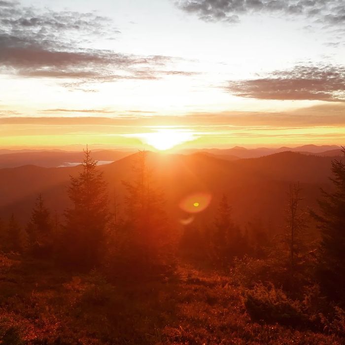 Перевезення пасажирів 8- 9місць вантажне перевезиння