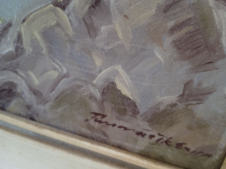 Картина (Бієловодська долина) У татрах.