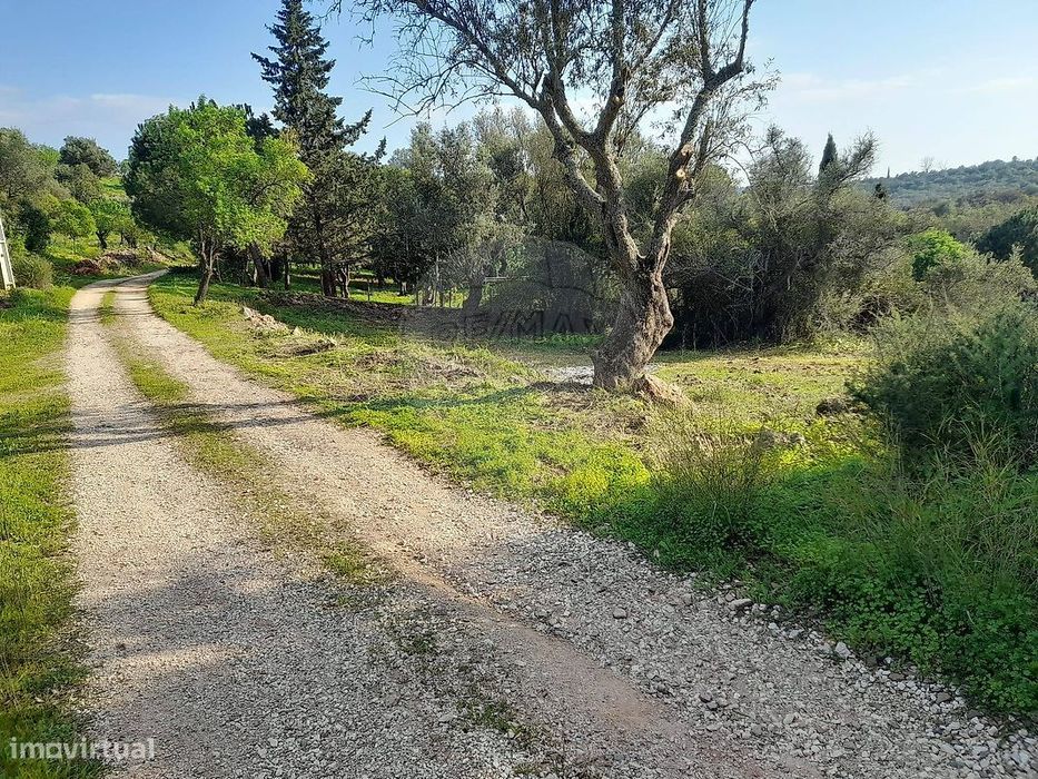 Terreno  para venda