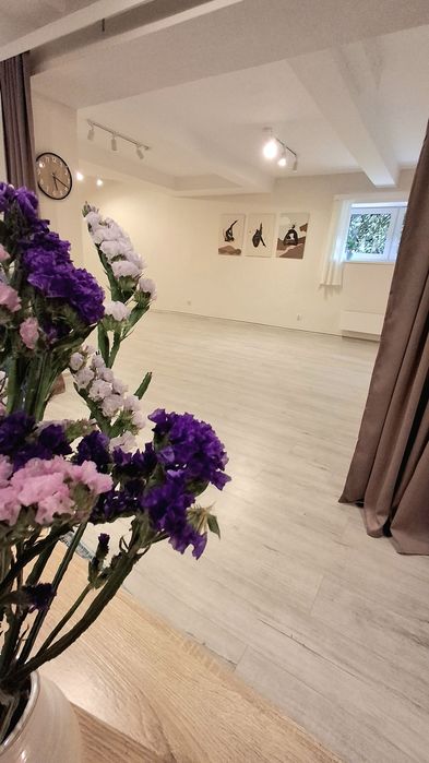 Sala warsztatowa na Starych Dębnikach na wynajem

J