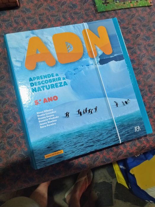 Manuais do professor 5.° ano - Novos PORT/HGP/CIÊNCIAS