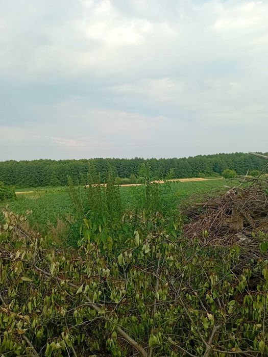 Продам земельну ділянку в місті Узин.