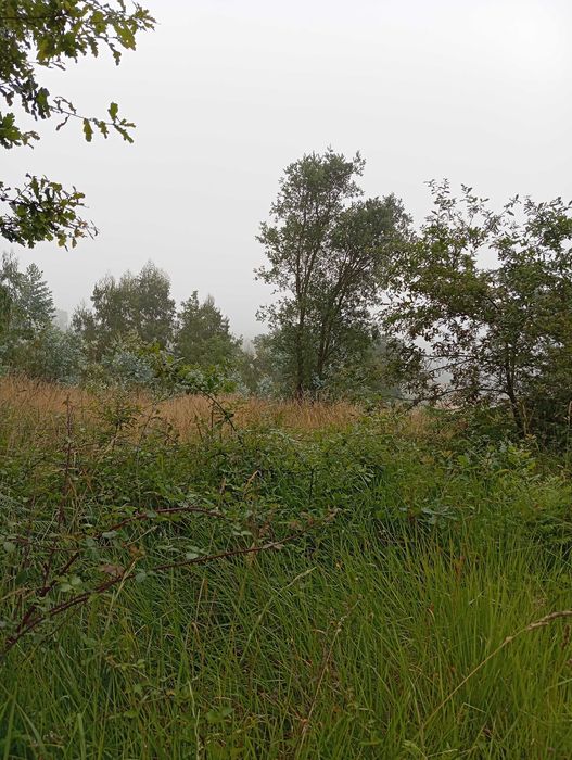 Terreno Urbano 1536M para construção