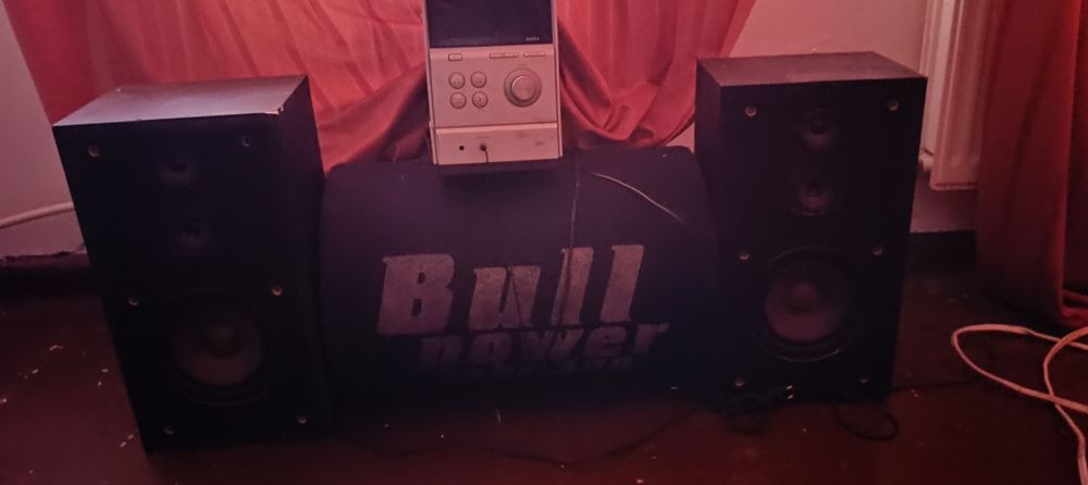 SONY  Kolumny- 100WT