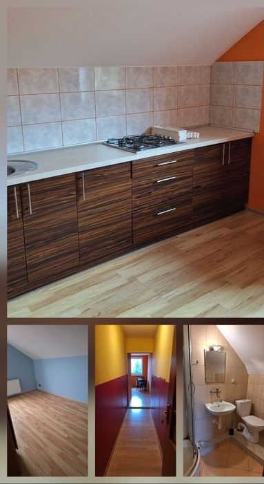 Mieszkania do wynajęcia