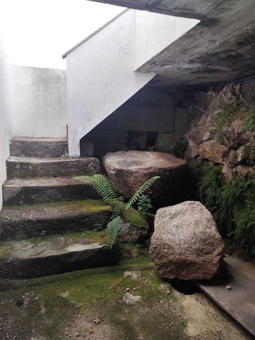 Oportunidade única Casa de campo  t3 com ribeirinho a 2 minutos rio Douro Resende