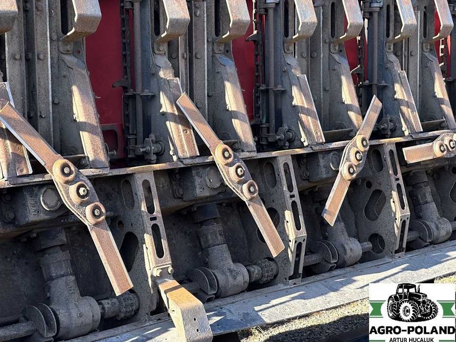 Кукурудзяна жатка - OLIMAC DRAGO 2 - S 8 TR - 8X70 - 2017 рік