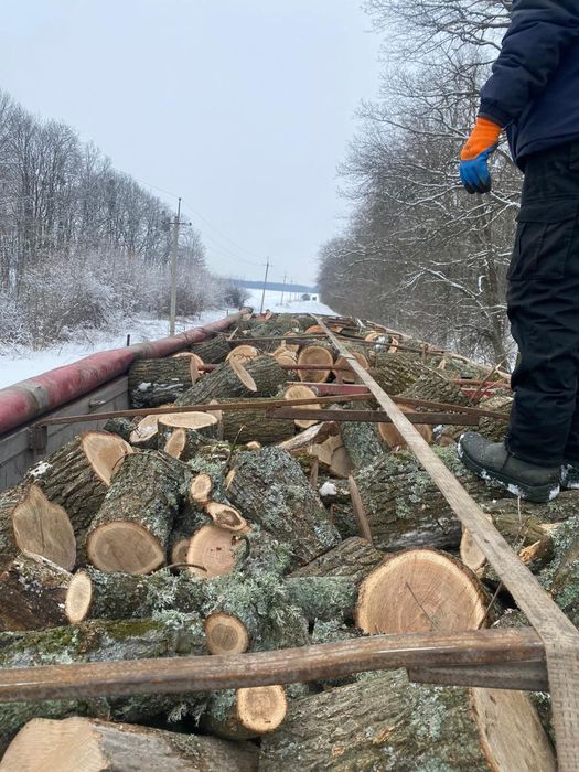 Дрова,пиломатеріали