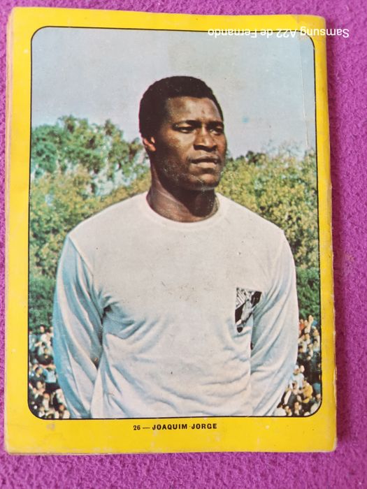 Vendo revistas com separatas