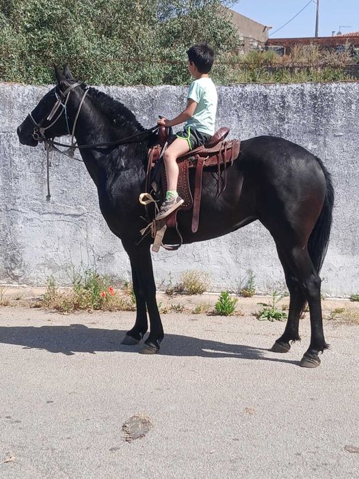 Para venda Para venda