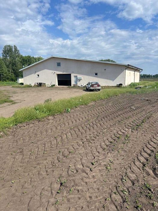 Продам земельну дiлянку в с.Озеряни Бобровицький р-онЧернiгiвська обл.