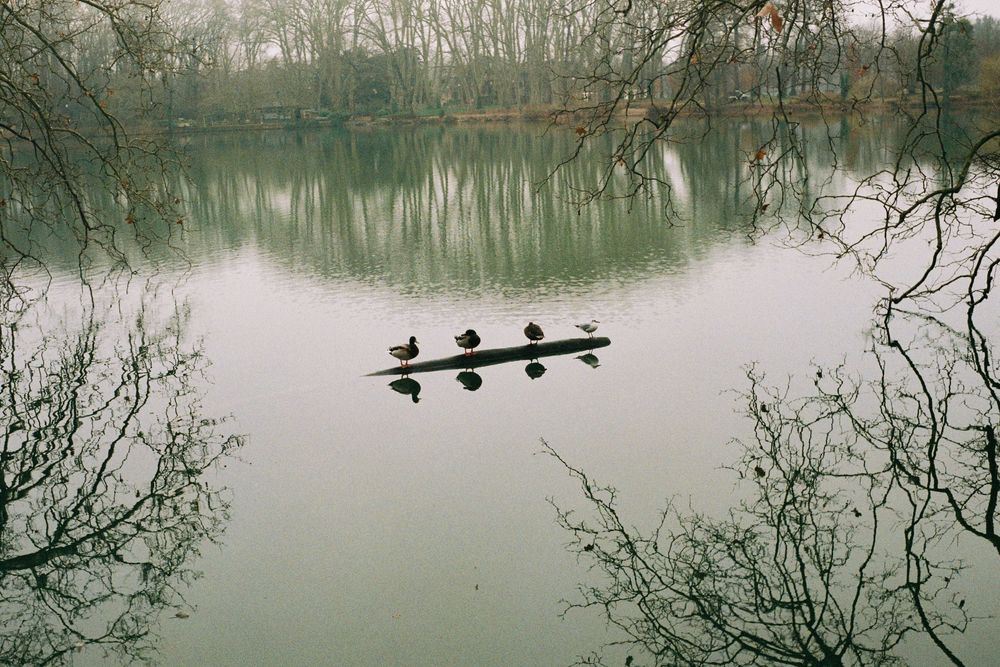 Rollei 35 + Filtro 1a Kenlock