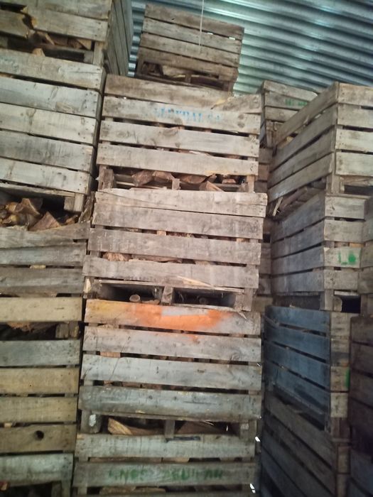 Lenha seca e enchuta