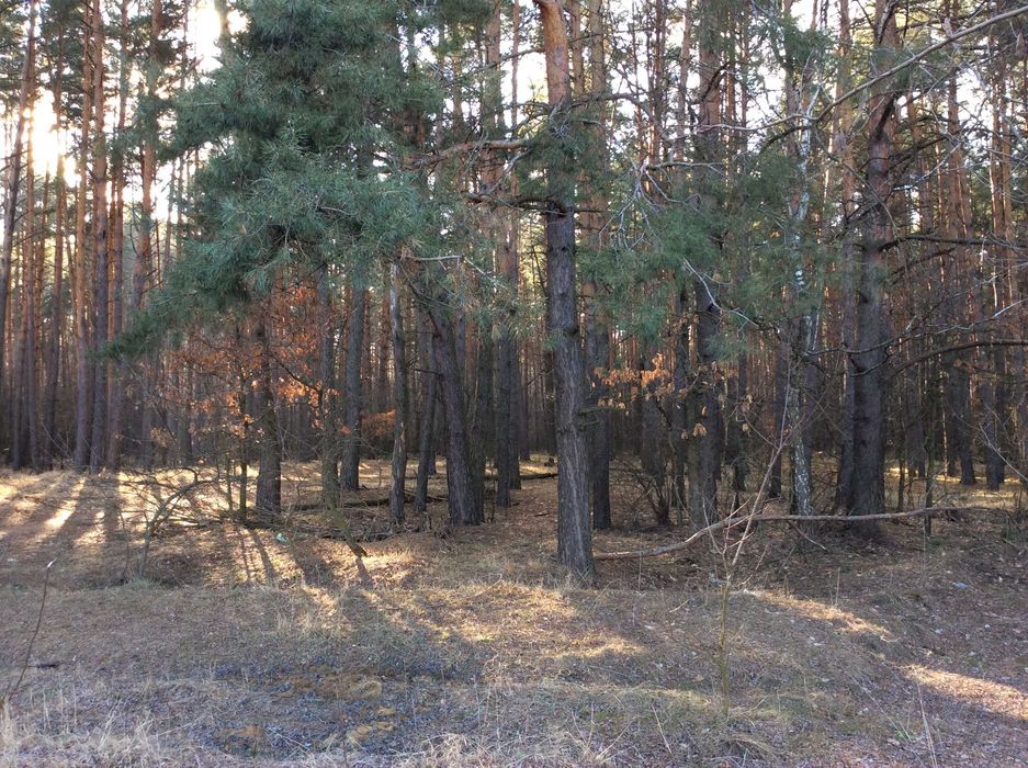 Продам 42 сот земельну ділянку в Глевасі