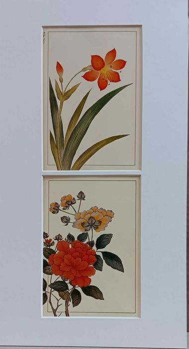 4 mini-paineis com litografias do Séc. XX - "Flores"