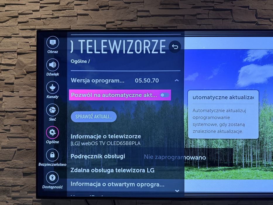 TV LG Oled 65” B8