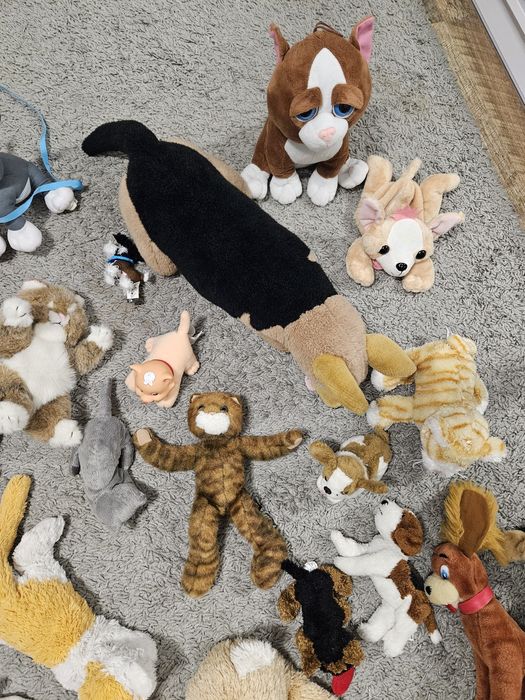 Mega paka zestaw maskotek pieski kotki 35szt