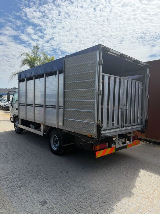 Toyota dyna transporte de animais vivos