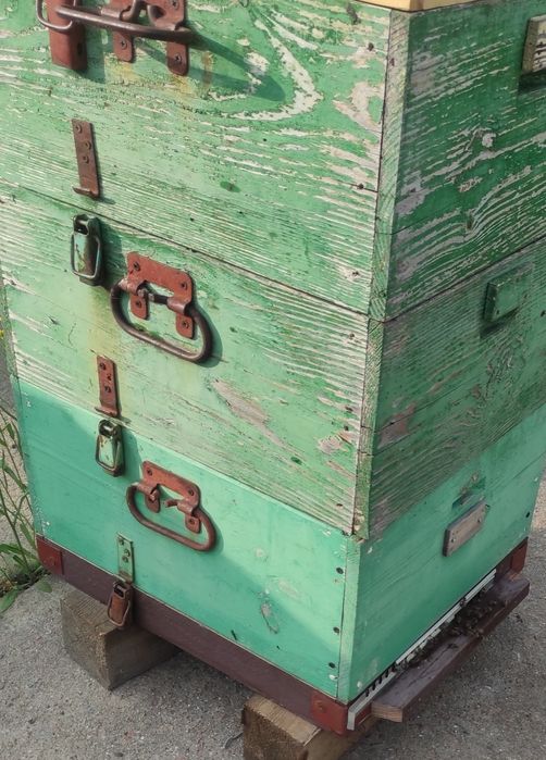 Продам три пчелосемьи с медом и уликами