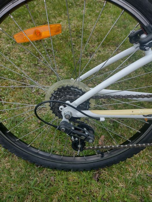 Rower górski koła 24