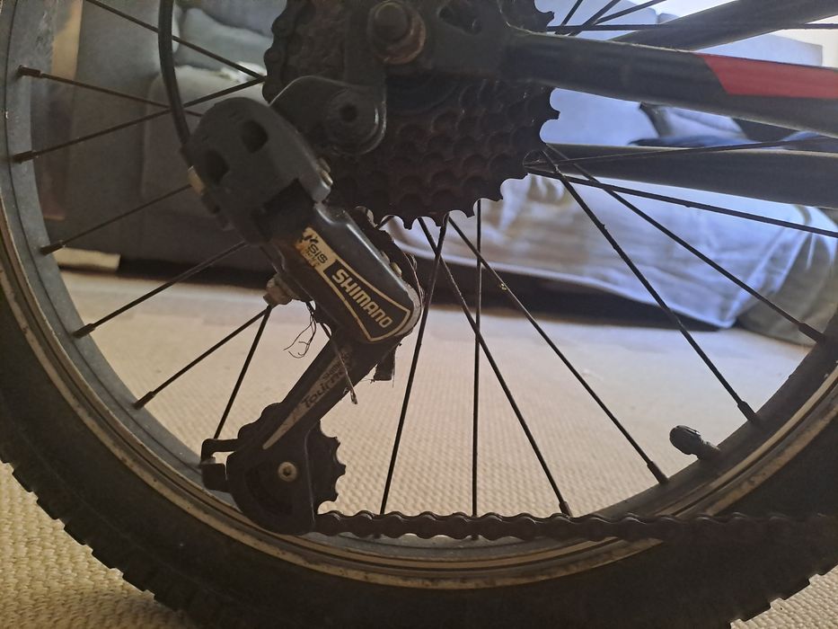 Bicicleta aro 15