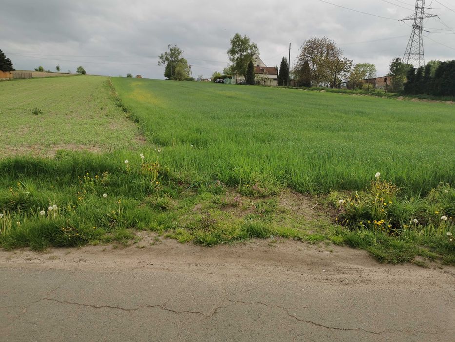 Pyskowice działka 2 398 m2