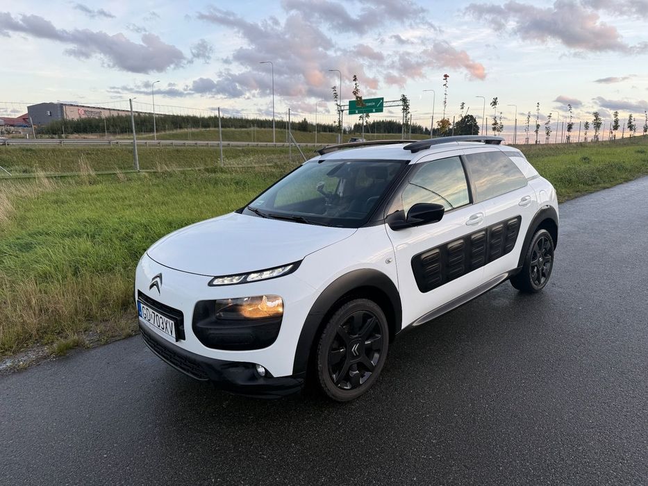 Citroën C4 Cactus Salon Polska, nowy rozrząd