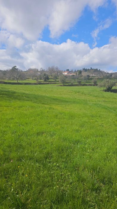 Terreno Frechão 2.2ha