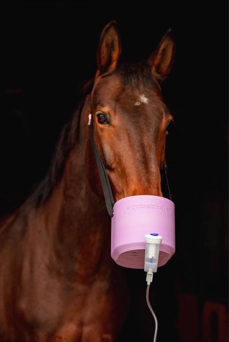 Maska CLASSIC EQUINEINHALER do inhalatora Microlife Neb210 zestaw)
