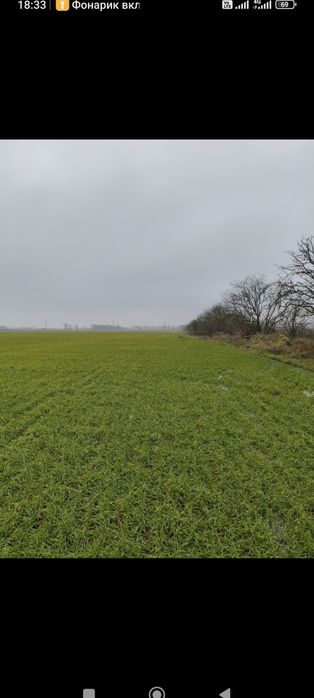 Червоный Хутор Участок от Собственника У МОРЯ  без Переплат