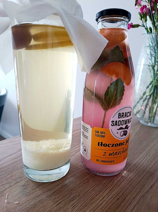 Kefir wodny, tobicos, algi japońskie, kryształki