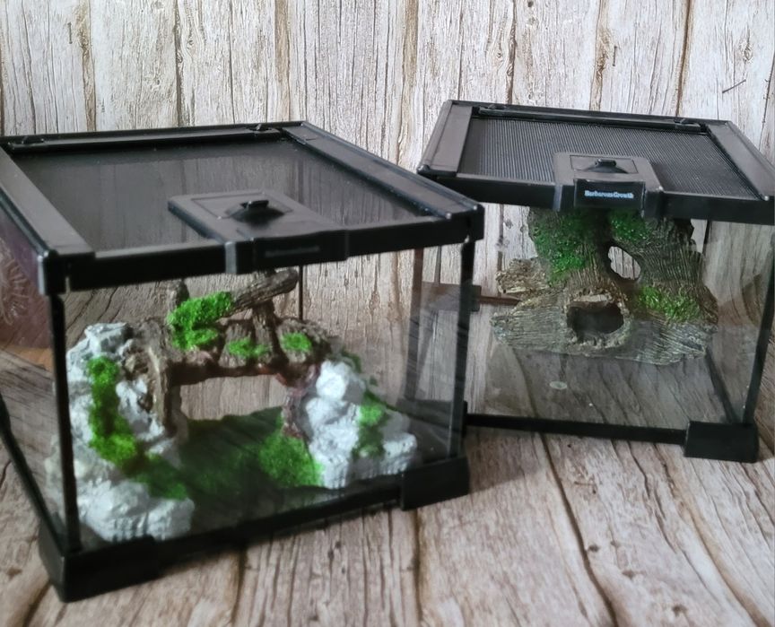 Nowe. Terrarium terraria akwarium
