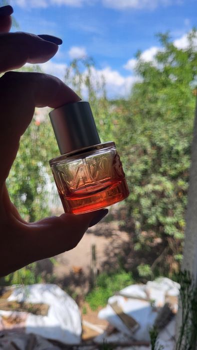 Puste opakowanie portfel perfumach mexx 20ml
