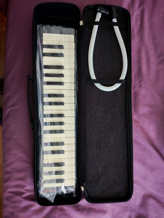 Melodica performer 37 hohner