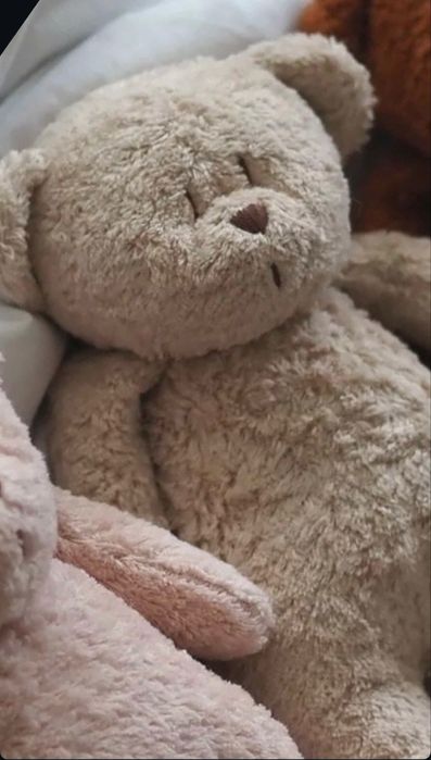 Співаючі іграшки  MOONIE ORGANIC