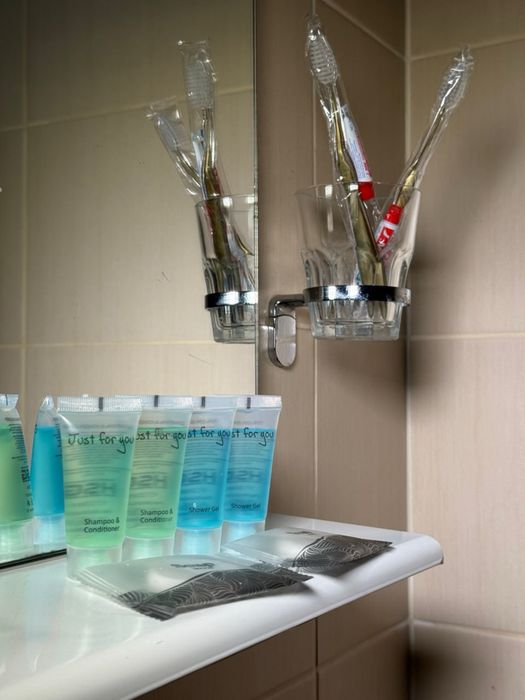 Готель в центрі міста . Бульвар Лесі Украінкі 9