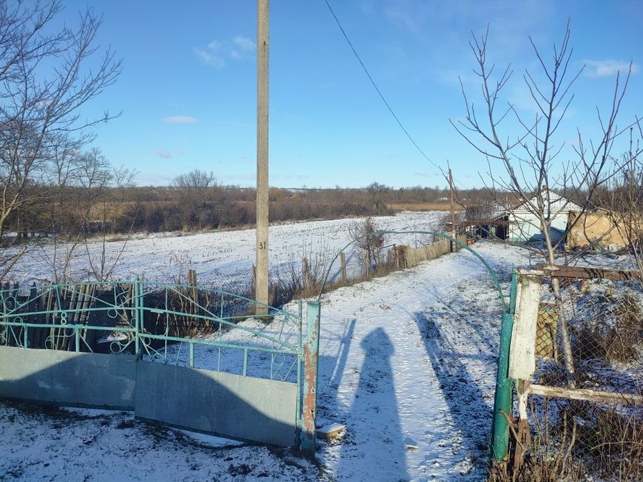 Будинок з земельною ділянкою