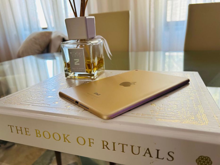 iPad mini 4 Excelente Estado