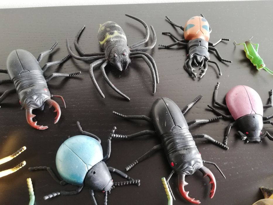 Animais do mar e insectos como novos64739000430722122