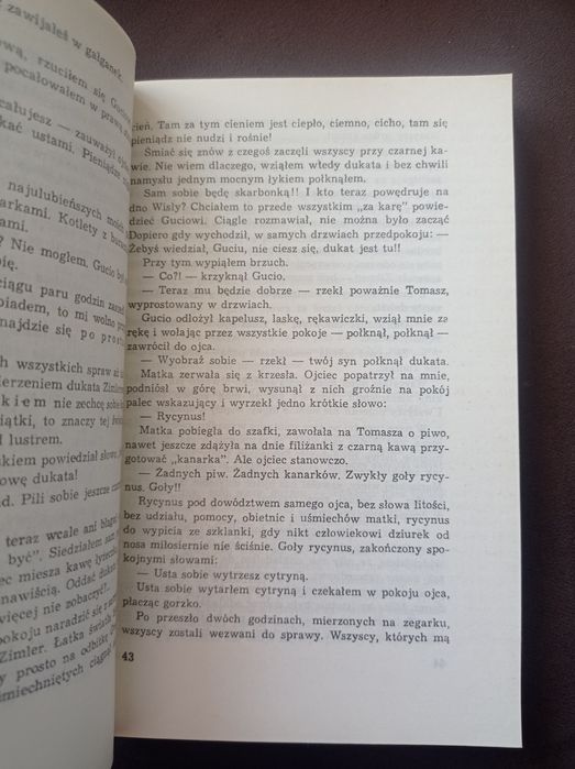 Miasto mojej matki w cieniu zapomnianej olszyny Juliusz Kaden Bandrows