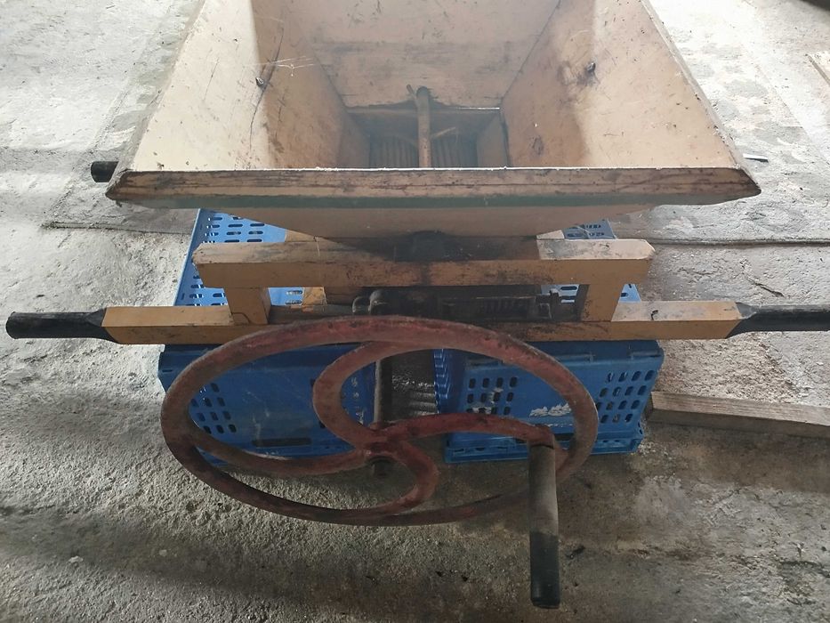 Relador de uvas em bom estado